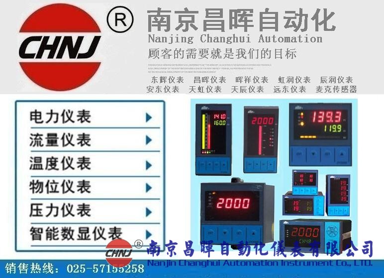 東輝儀表DY21ZE、DY22ZE、DY26ZE、DY28ZE、DY29ZE、DY2000單電量顯示儀